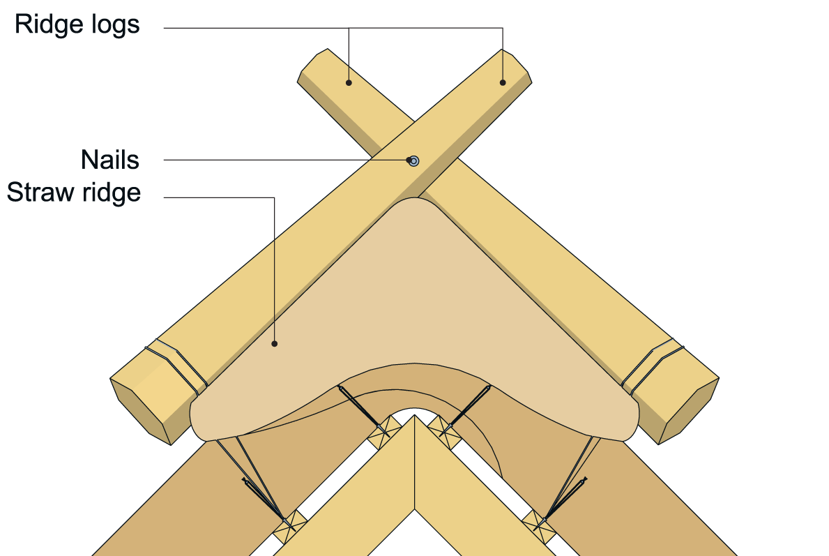 An example of a straw ridge held in place by ridge cross poles.