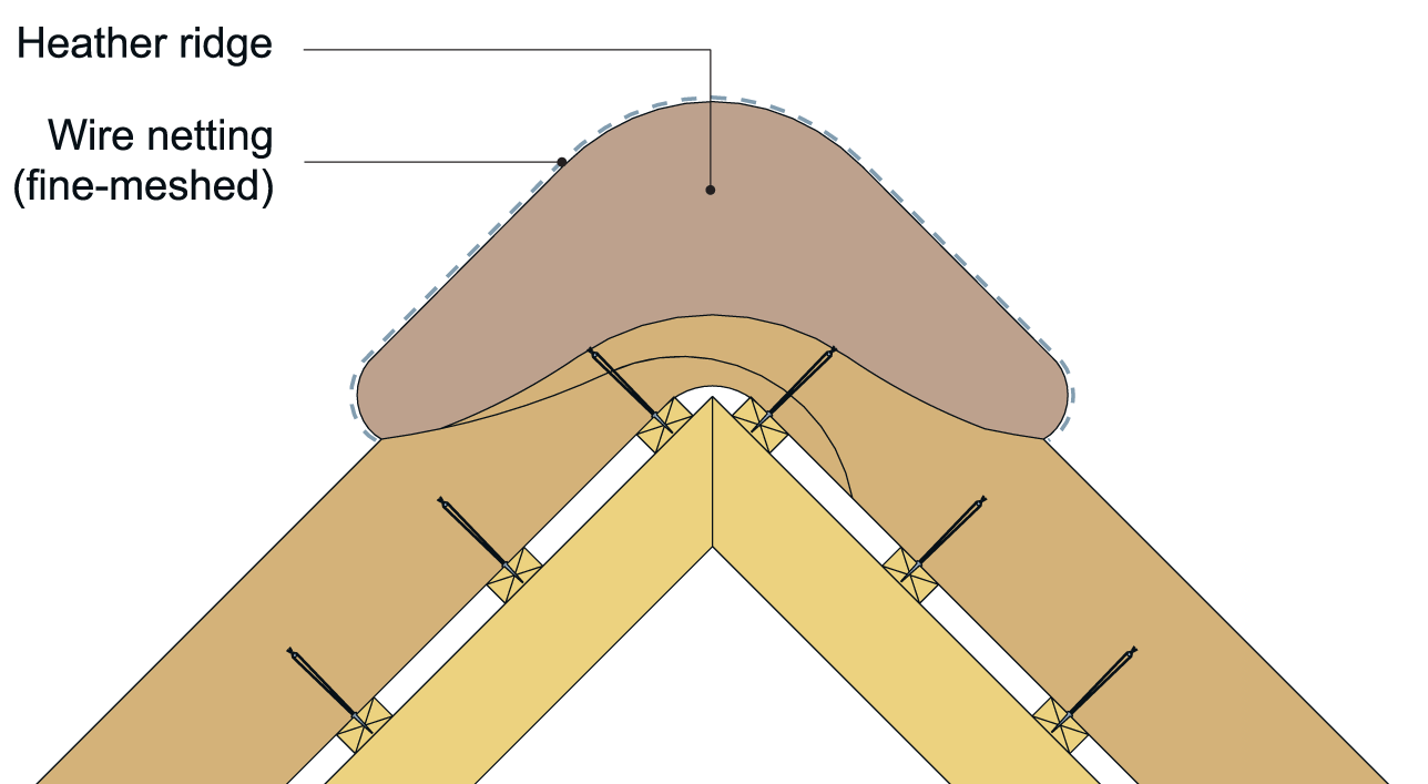 An example of a heather ridge held in place by fine-meshed wire netting.