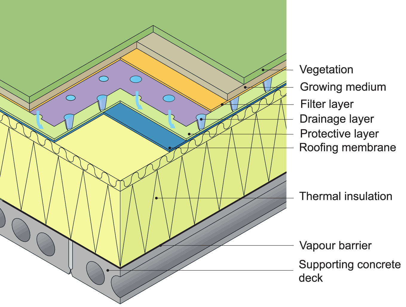Example of a flat roof structure with an extensive green sedum roof. 